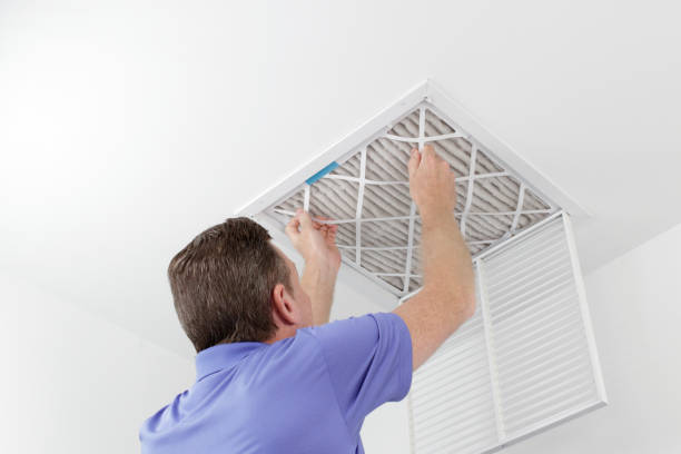 Best Affordable Duct Cleaning Services  in Lockney, TX